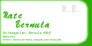 mate bernula business card